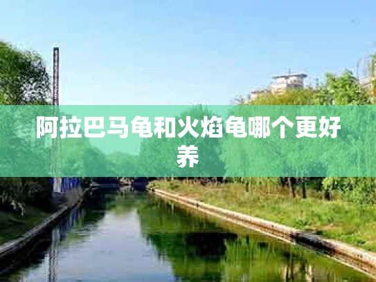 阿拉巴马龟和火焰龟哪个更好养