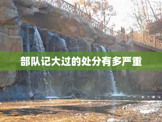 部队记大过的处分有多严重