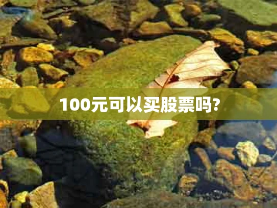 100元可以买股票吗?