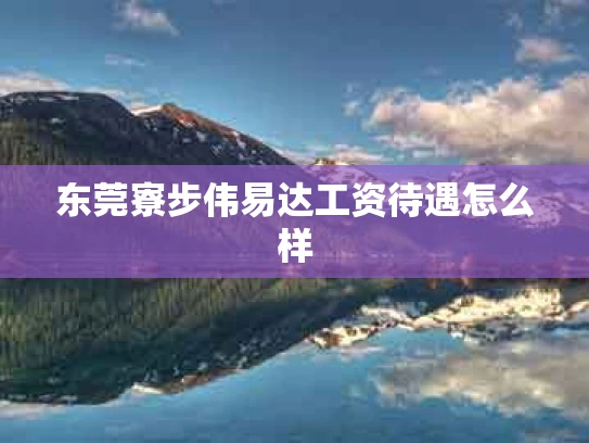 东莞寮步伟易达工资待遇怎么样