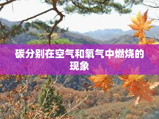 碳分别在空气和氧气中燃烧的现象