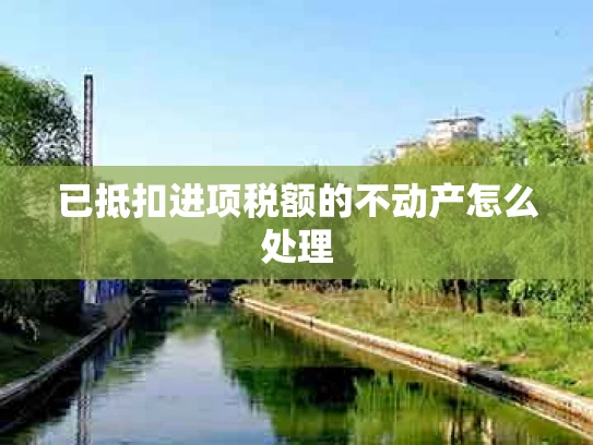 已抵扣进项税额的不动产怎么处理