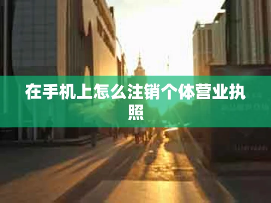 在手机上怎么注销个体营业执照