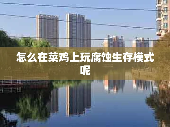 怎么在菜鸡上玩腐蚀生存模式呢
