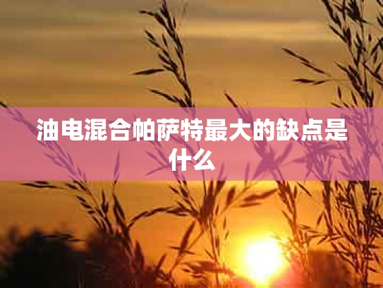 油电混合帕萨特最大的缺点是什么