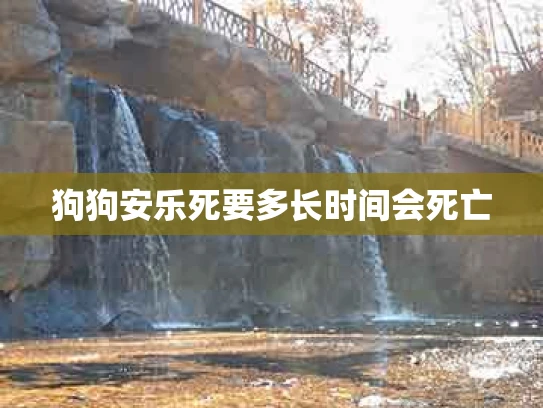 狗狗安乐死要多长时间会死亡