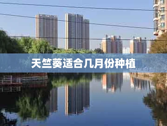 天竺葵适合几月份种植