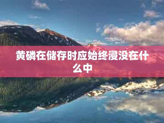 黄磷在储存时应始终浸没在什么中