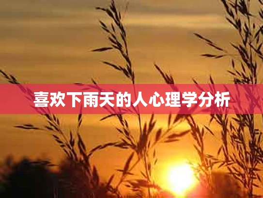 喜欢下雨天的人心理学分析