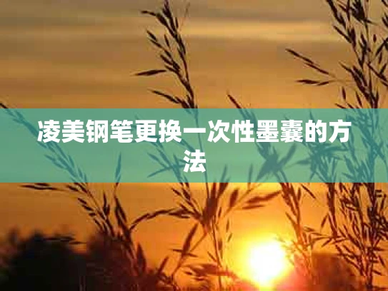 凌美钢笔更换一次性墨囊的方法