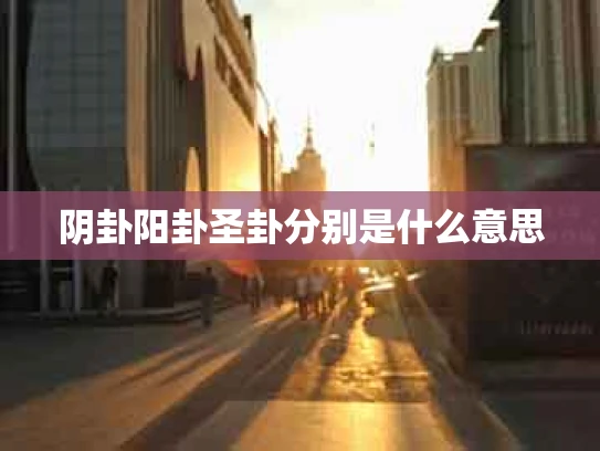 阴卦阳卦圣卦分别是什么意思