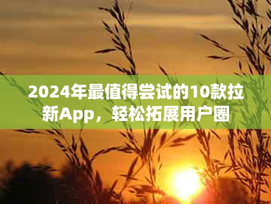 2024年最值得尝试的10款拉新App，轻松拓展用户圈