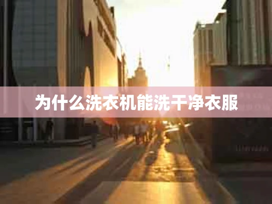 为什么洗衣机能洗干净衣服
