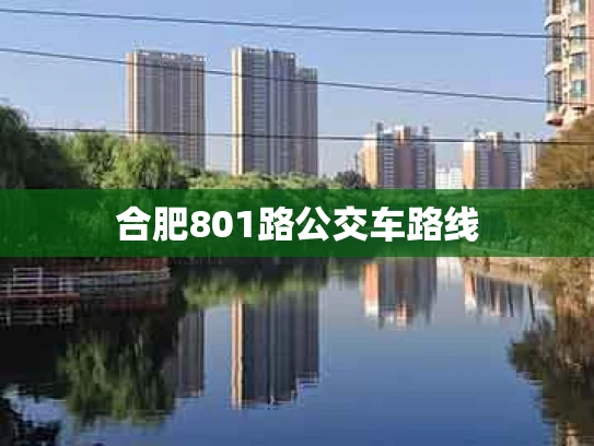 合肥801路公交车路线
