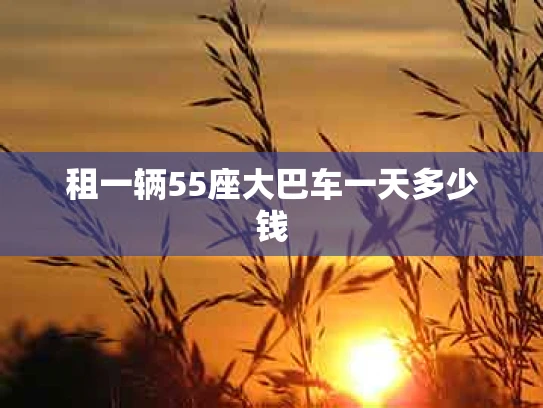 租一辆55座大巴车一天多少钱