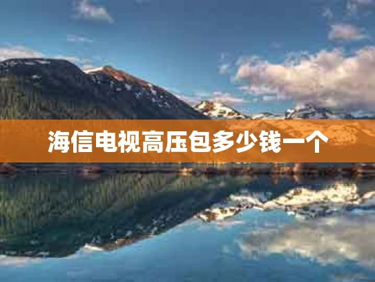 海信电视高压包多少钱一个