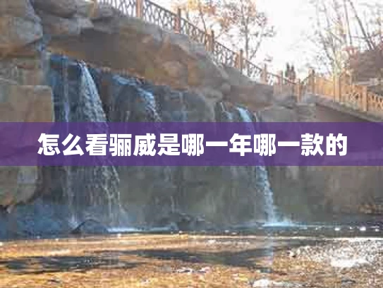 怎么看骊威是哪一年哪一款的