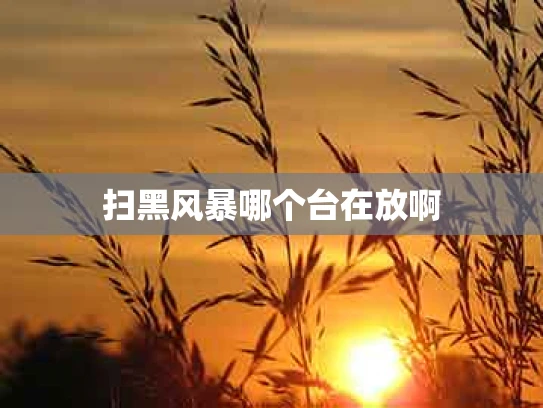 扫黑风暴哪个台在放啊
