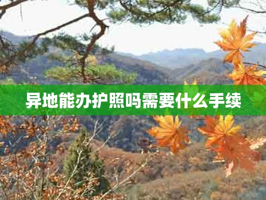 异地能办护照吗需要什么手续