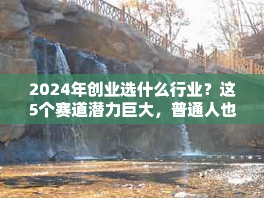 2024年创业选什么行业？这5个赛道潜力巨大，普通人也能抓住机会！