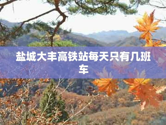 盐城大丰高铁站每天只有几班车