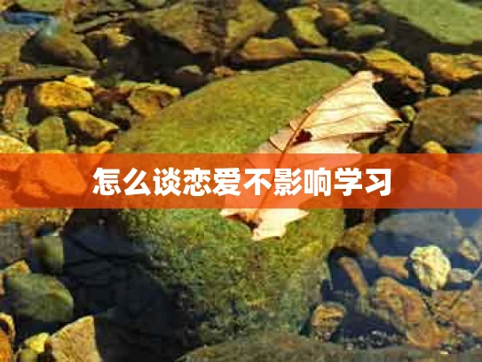 怎么谈恋爱不影响学习