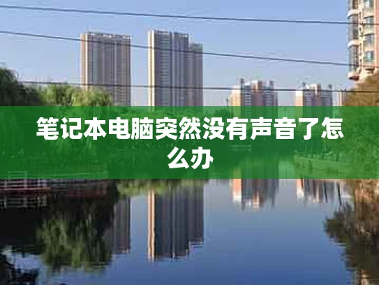 笔记本电脑突然没有声音了怎么办