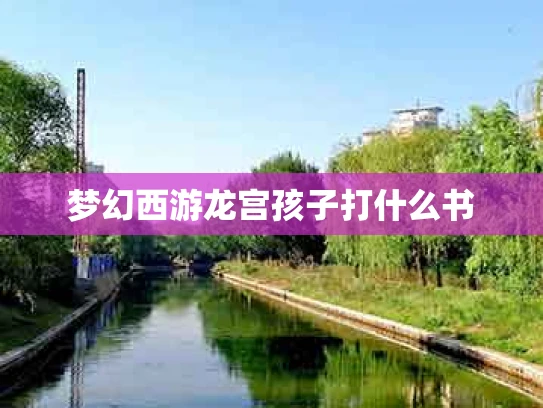 梦幻西游龙宫孩子打什么书