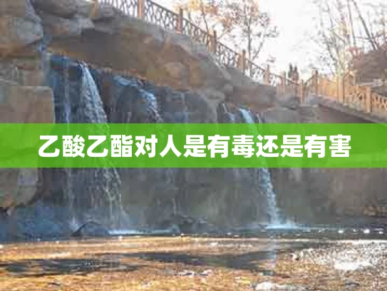 乙酸乙酯对人是有毒还是有害
