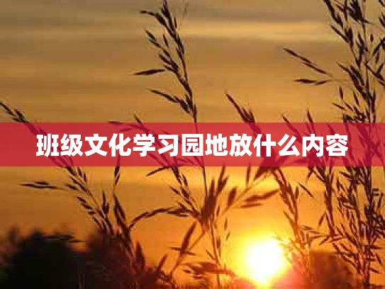 班级文化学习园地放什么内容
