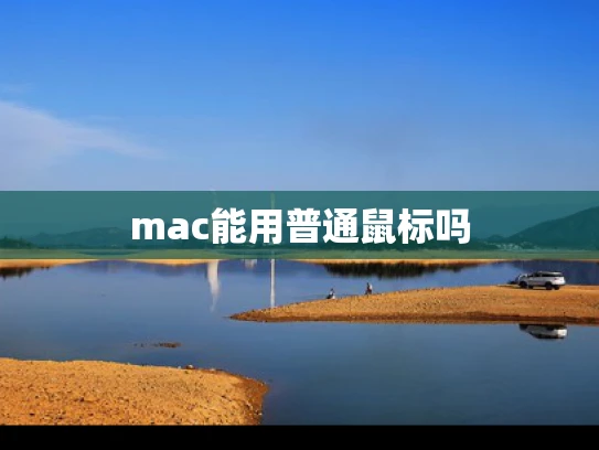mac能用普通鼠标吗