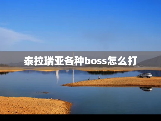 泰拉瑞亚各种boss怎么打