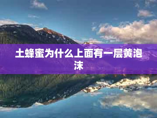 土蜂蜜为什么上面有一层黄泡沫