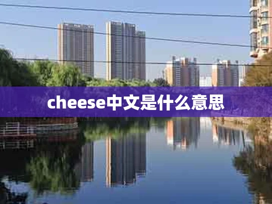 cheese中文是什么意思