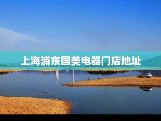 上海浦东国美电器门店地址