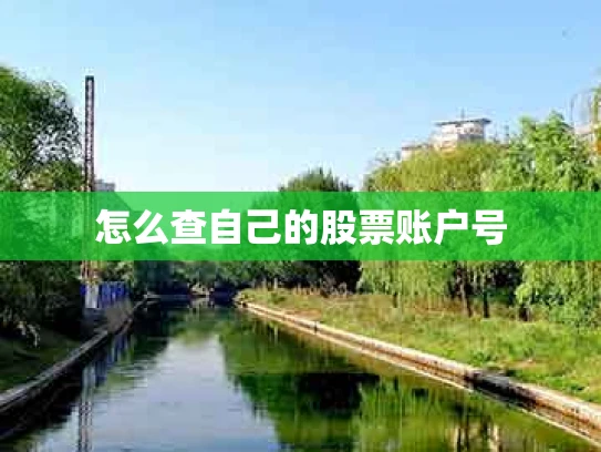 怎么查自己的股票账户号