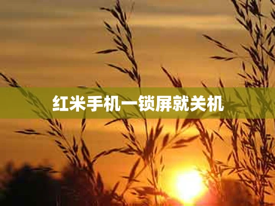 红米手机一锁屏就关机