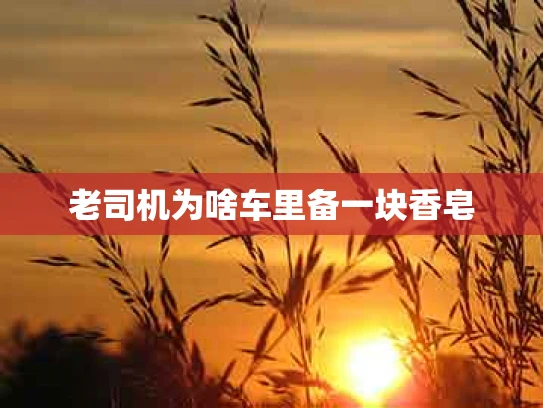 老司机为啥车里备一块香皂