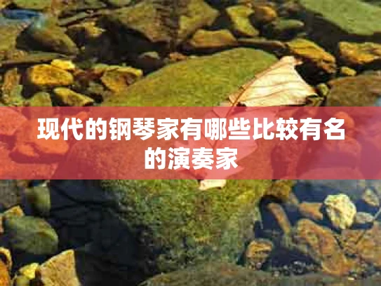 现代的钢琴家有哪些比较有名的演奏家