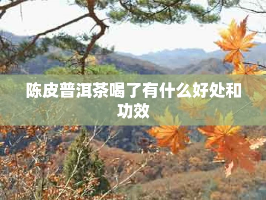 陈皮普洱茶喝了有什么好处和功效