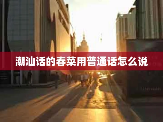 潮汕话的春菜用普通话怎么说