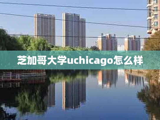 芝加哥大学uchicago怎么样