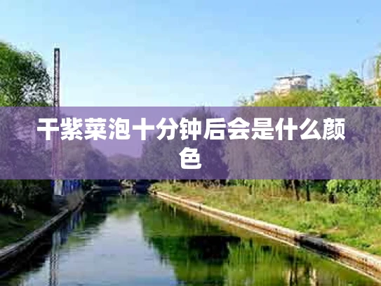干紫菜泡十分钟后会是什么颜色