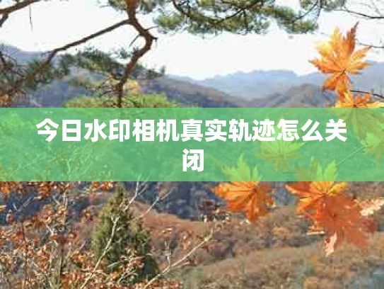 今日水印相机真实轨迹怎么关闭