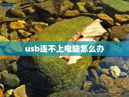 usb连不上电脑怎么办