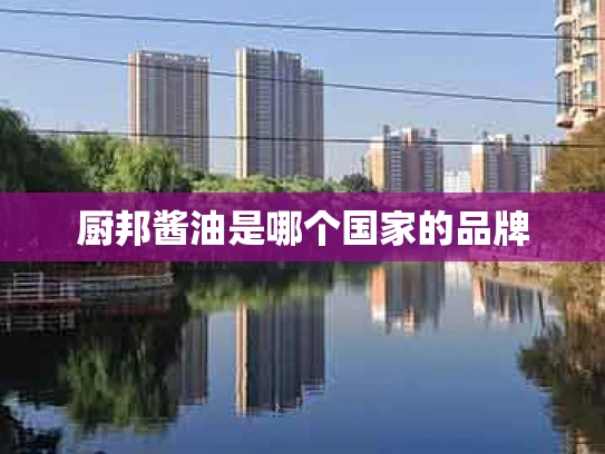 厨邦酱油是哪个国家的品牌