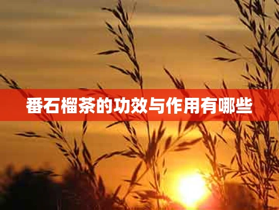 番石榴茶的功效与作用有哪些