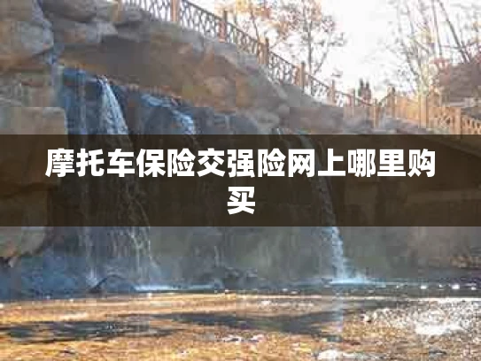 摩托车保险交强险网上哪里购买