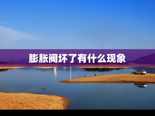 膨胀阀坏了有什么现象