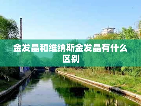 金发晶和维纳斯金发晶有什么区别